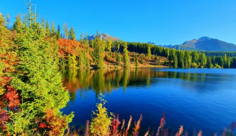 Hotel CROCUS **** Vysoké Tatry